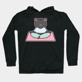 Cat at Yoga with Yoga mat Hoodie